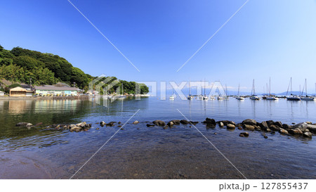 西伊豆の夏 127855437