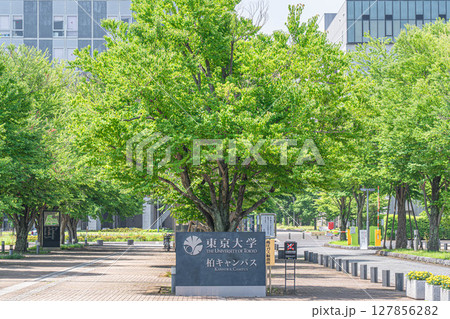 新緑が美しい東京大学柏キャンパスの正門風景(千葉県柏市) 新緑が美しい東京大学柏キャンパスの正門風景(千葉県柏市) 127856282