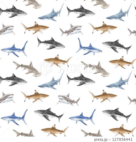 Seamless Watercolor Shark Pattern. Ocean Predator Illustration for Kids and Fabric 127856441
