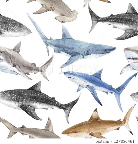 Seamless Watercolor Shark Pattern. Ocean Predator Illustration for Kids and Fabric 127856461
