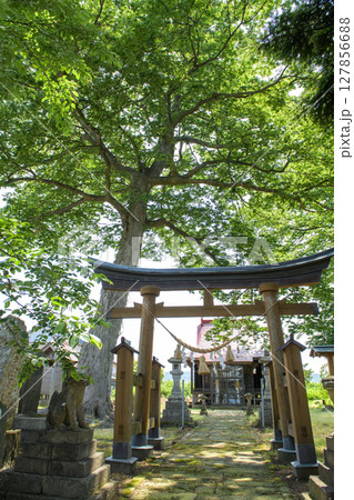 旧羽州街道沿いに建つ愛宕神社　秋田県横手市 127856688