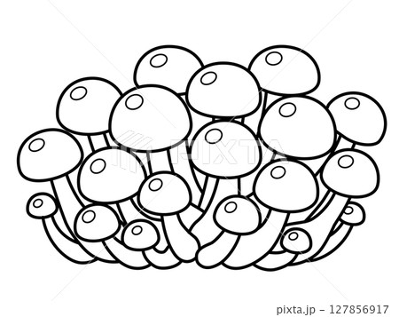 ナメコのアイコン 127856917