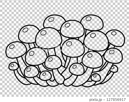 Nameko icon 127856917