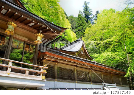 京都・鴨川の水源『貴船川』沿いに建つ… 縁結びの神水【貴船神社】 127857149