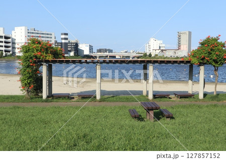 大森ふるさとの浜辺公園 大森ふるさとの浜辺公園 127857152