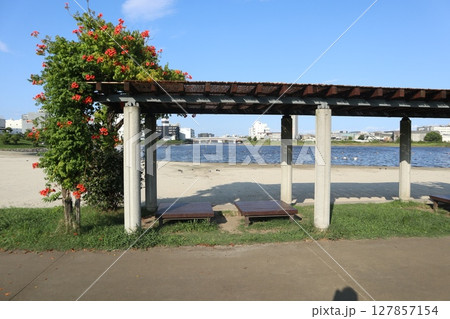 大森ふるさとの浜辺公園 大森ふるさとの浜辺公園 127857154