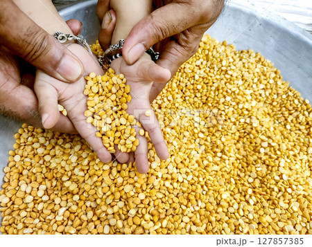 Generations Holding Chana Dal. A Symbol of Tradition and Nourishment 127857385