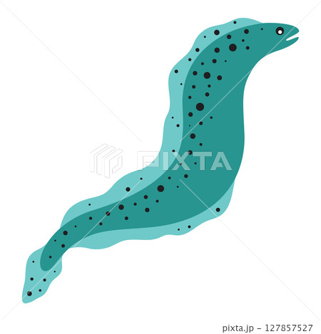 cartoon moray eel isolated 127857527