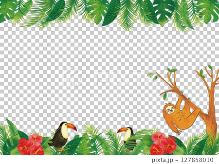 水彩風ナマケモノとトゥーカン 南国植物のフレーム2 127858010