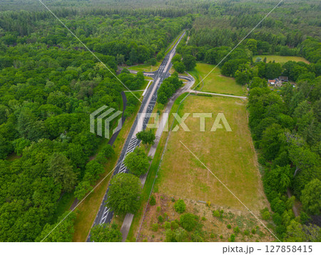 A drone view of a road cutting through dense green forest, with open grassy fields on one side and residential houses tucked among the trees, capturing a peaceful blend of nature and infrastructure. 127858415