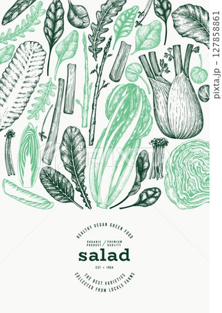 Green Vegetable Design Template. Vector Hand Drawn Healthy Leaf Salad Banner. Vintage Style Menu Illustration. 127858861
