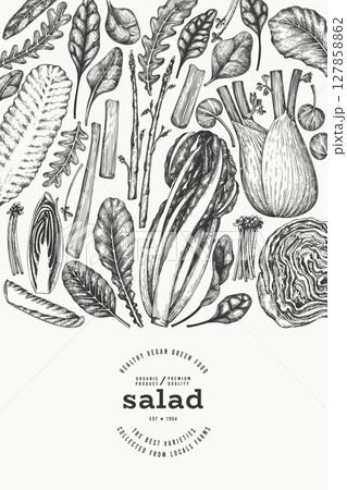 Green Vegetable Design Template. Vector Hand Drawn Healthy Leaf Salad Banner. Vintage Style Menu Illustration. 127858862