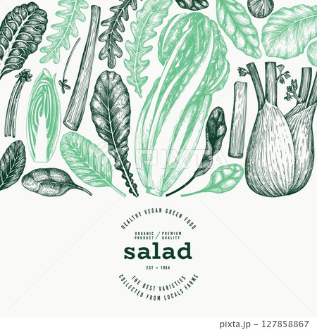 Green Vegetable Design Template. Vector Hand Drawn Healthy Leaf Salad Banner. Vintage Style Menu Illustration. 127858867