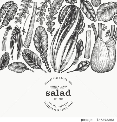 Green Vegetable Design Template. Vector Hand Drawn Healthy Leaf Salad Banner. Vintage Style Menu Illustration. Green Vegetable Design Template. Vector Hand Drawn Healthy Leaf Salad Banner. Vintage Style Menu Illustration. 127858868