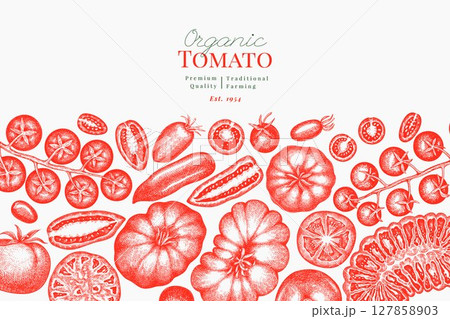 Hand Drawn Tomato Illustration. Retro Vegetable Vector Design Template. Old School Farm Food. Hand Drawn Tomato Illustration. Retro Vegetable Vector Design Template. Old School Farm Food. 127858903