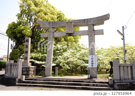鳥居を抜けると真白き別世界 鳥居を抜けると真白き別世界 127858964