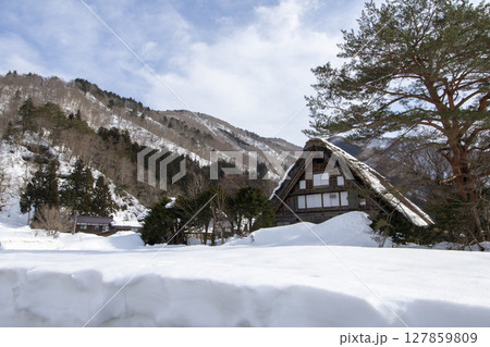 春先の岐阜県白川郷の古民家 127859809