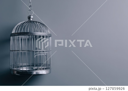 A cage with a bird inside of it A cage with a bird inside of it 127859926