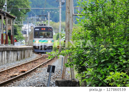 秩父鉄道「6月中旬の緑生い茂る武州日野駅」 127860539
