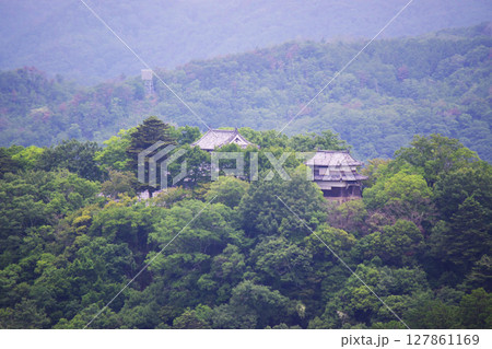 展望所からの備中松山城 展望所からの備中松山城 127861169