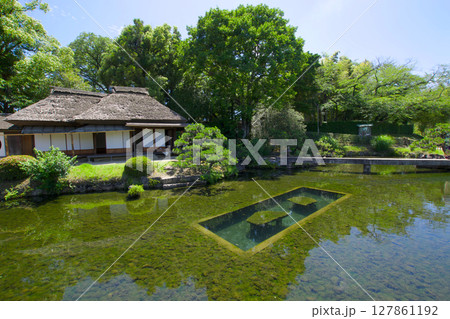 岡山後楽園の庭園 岡山後楽園の庭園 127861192