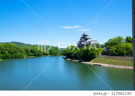 お堀から見た岡山城の天守閣 お堀から見た岡山城の天守閣 127861193