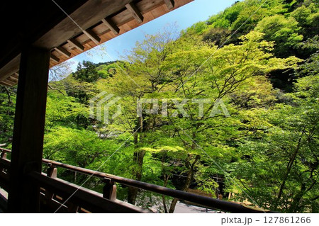 京都・鴨川の水源『貴船川』沿いに建つ【貴船神社】から眺める新緑 127861266