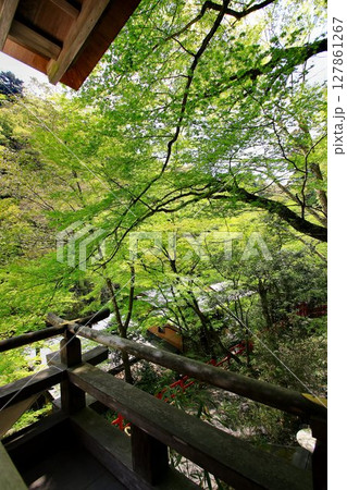 京都・鴨川の水源『貴船川』沿いに建つ【貴船神社】から眺める新緑 127861267