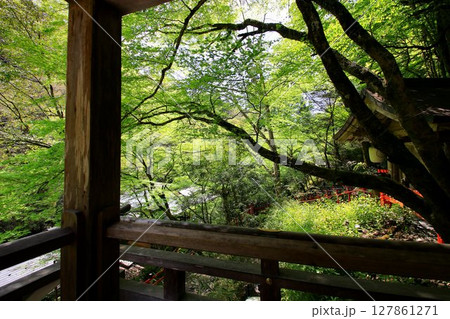 京都・鴨川の水源『貴船川』沿いに建つ【貴船神社】から眺める新緑 京都・鴨川の水源『貴船川』沿いに建つ【貴船神社】から眺める新緑 127861271
