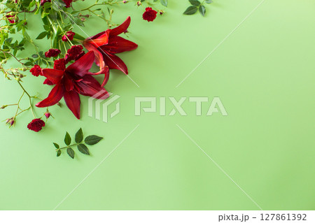 Bright petals of two red lilies with red roses on green background 127861392