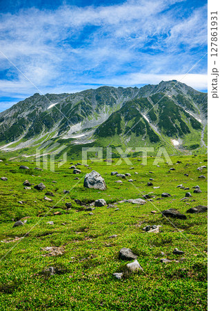 立山の豊かな緑とダイナミックな地形 127861931