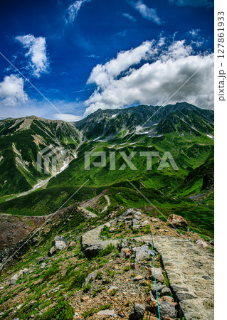 自然の息吹あふれる立山の草原と岩肌 127861933