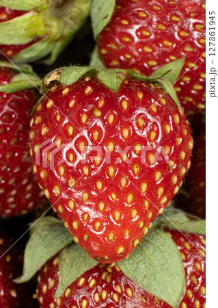 Juicy Strawberries Close-Up. Vibrant Red Berry Texture for Design. 127861945