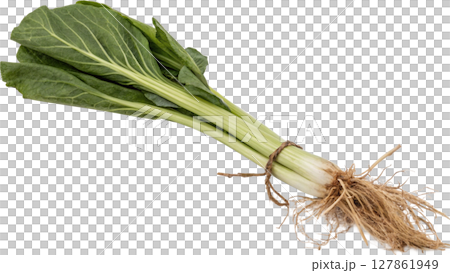 fresh celery on white background fresh celery on white background 127861949