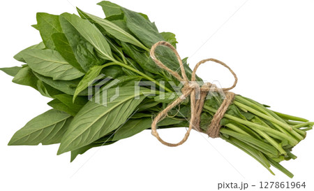 fresh green basil leaves isolated on white 127861964