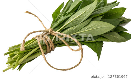 fresh rosemary isolated on white 127861965