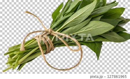 fresh rosemary isolated on white fresh rosemary isolated on white 127861965