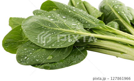 fresh spinach on white fresh spinach on white 127861966