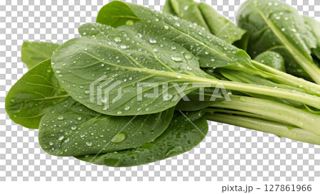 fresh spinach on white fresh spinach on white 127861966
