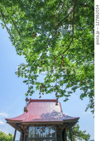 梨木水かぶり民俗文化財 わらじの掛かった欅の御神木 愛宕神社 秋田県横手市 梨木水かぶり民俗文化財 わらじの掛かった欅の御神木 愛宕神社 秋田県横手市 127862054