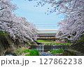 桜満開の横を走る電車 127862238