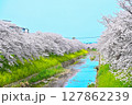 桜と菜の花の咲く川 127862239