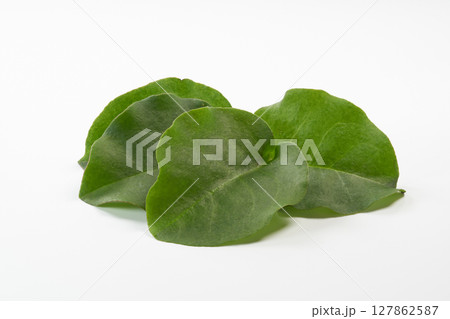 おかわかめ　イメージ 127862587