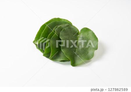 おかわかめ　イメージ 127862589