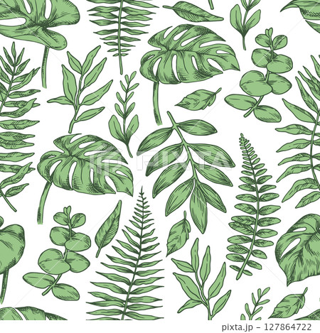 Seamless pattern of tropical green forest leaves. Vector illustration in sketch style. monstera, fern, eucalyptus 127864722