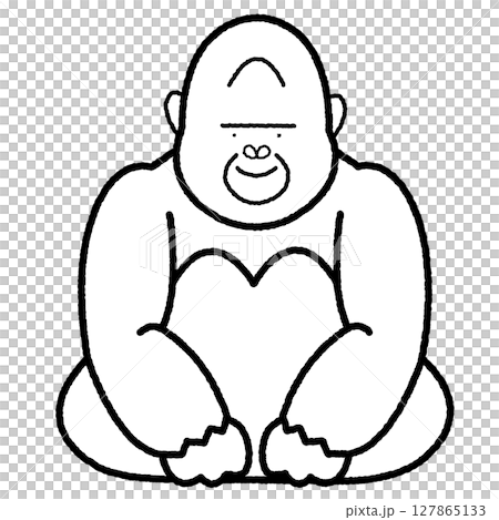 ゴリラ　座っている　白黒　イラスト 127865133