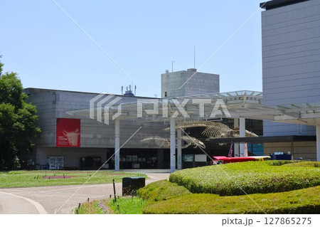 自然史博物館の外観1(人物なし)大阪 自然史博物館の外観1(人物なし)大阪 127865275