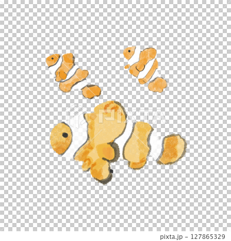 小丑魚插圖 - 透明 PNG 小丑魚插圖 - Tra 127865329