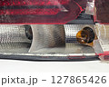 tail light of sedan body car. broken plastic lens, closeup on light bulbs 127865426