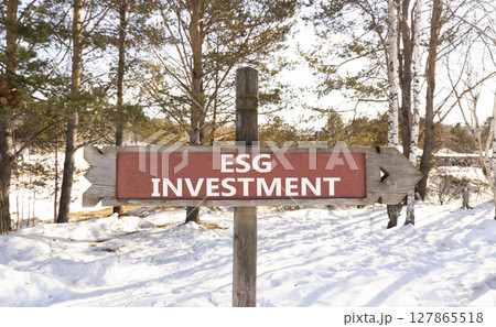 ESG environmental social governance investment symbol. Concept words ESG investment on beautiful wooden road sign. Beautiful forest snow sky background. Business ESG investment concept. Copy space. 127865518